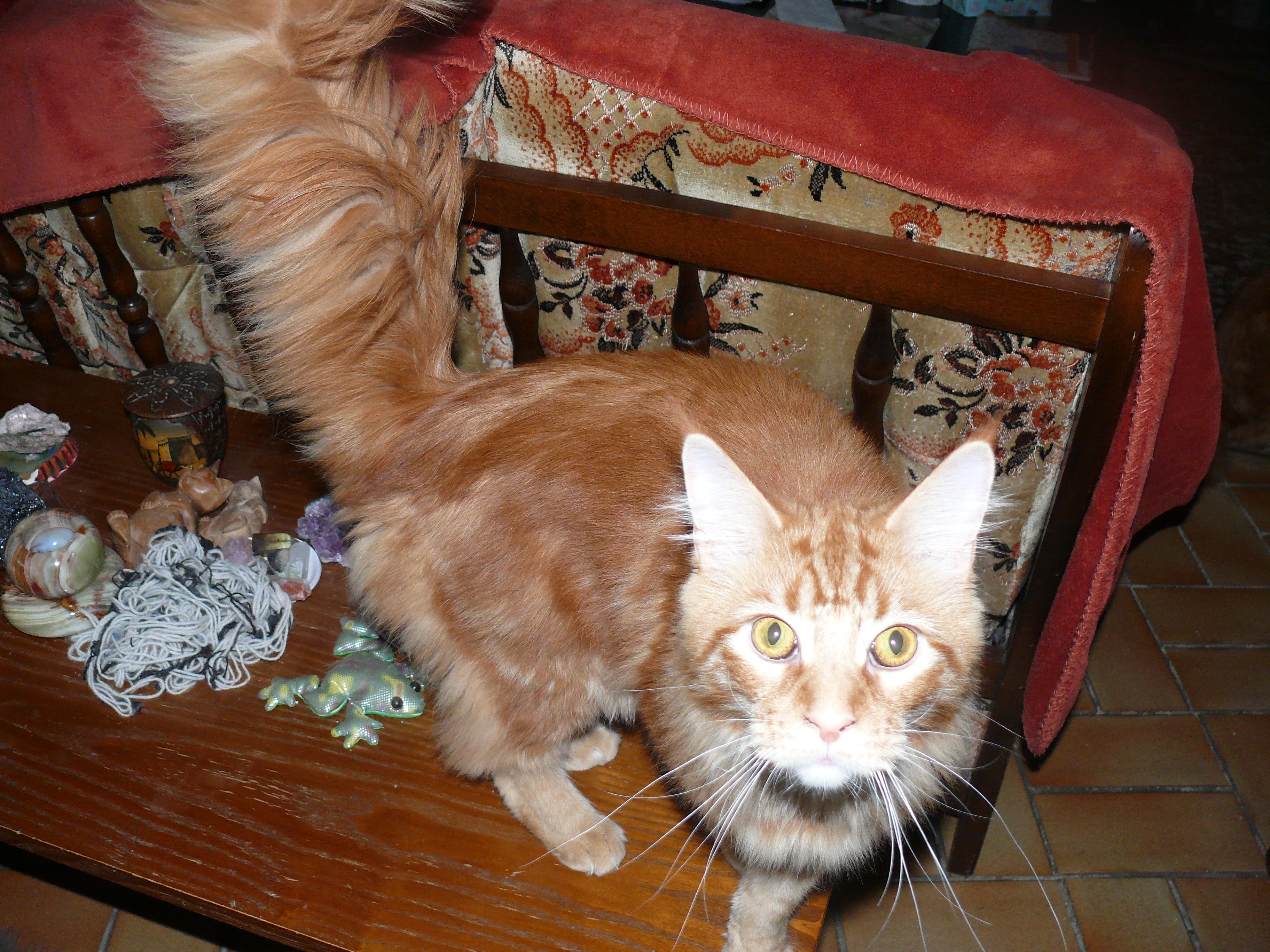 Moustic 2 
