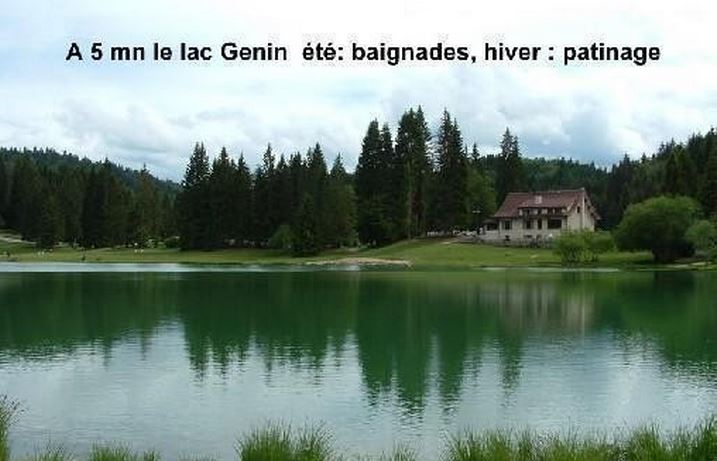 Lac genin