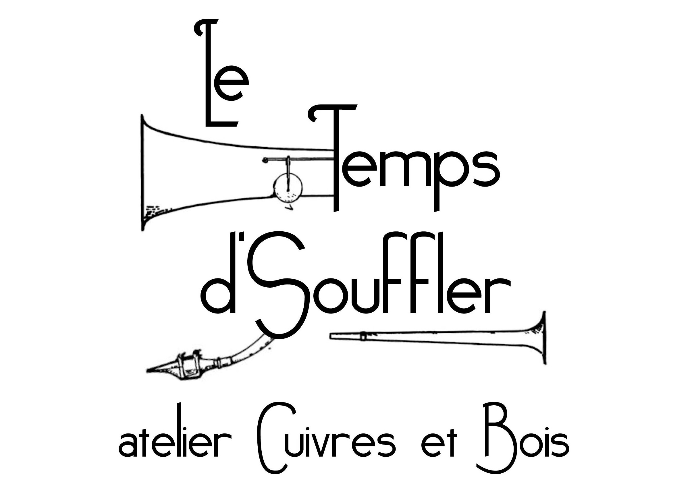 LOGO LTS cadrage plus serre