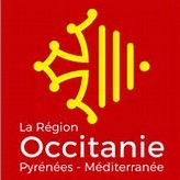 Logo region