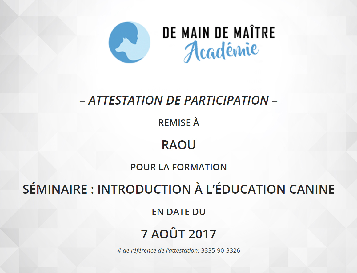 Attestation formation de main de maitre 1