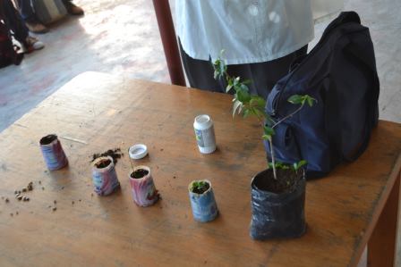 11390169 1434850436836475 7606733540240345387 n