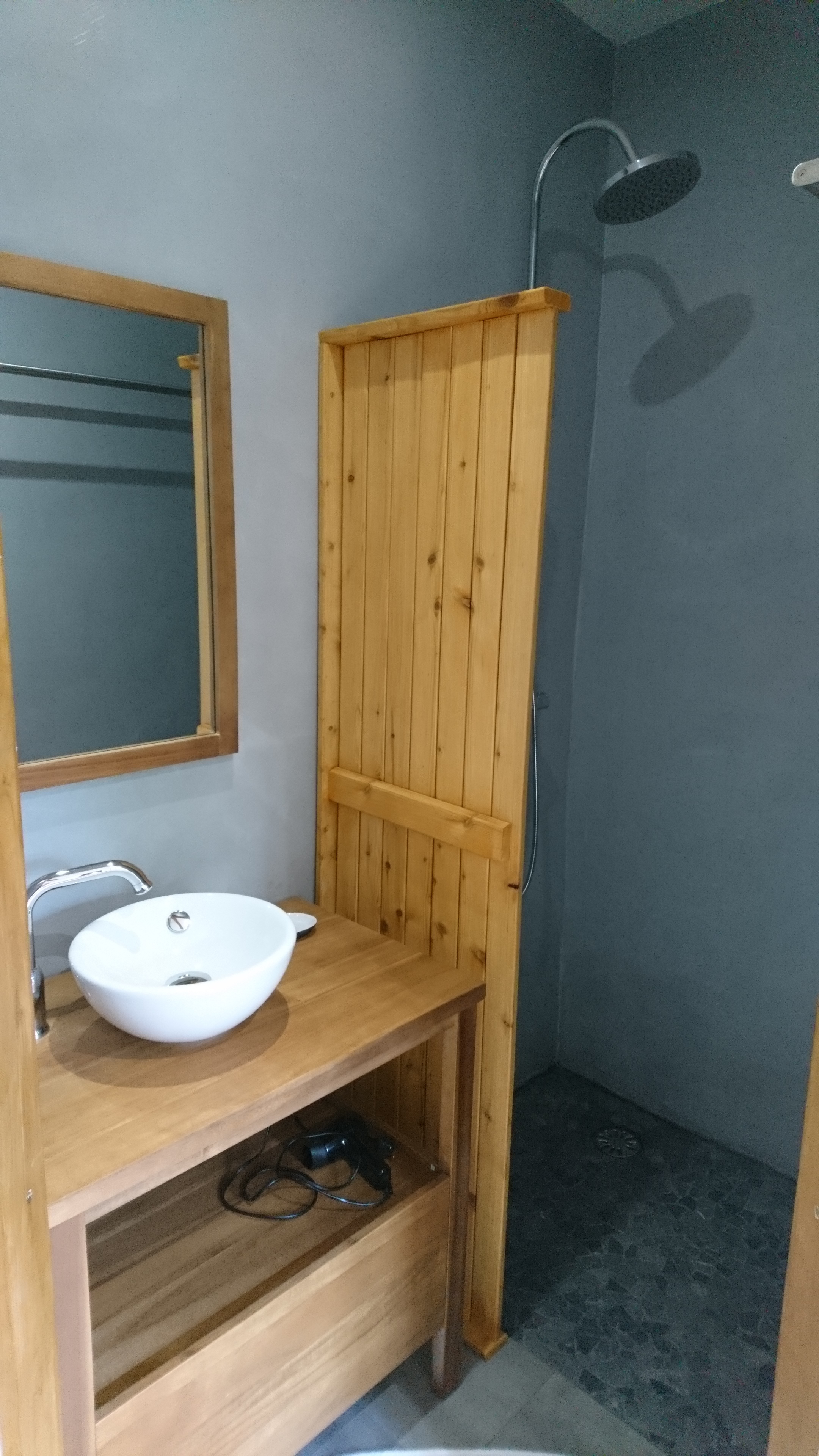 Douche et lavabo privatif chambre Nature
