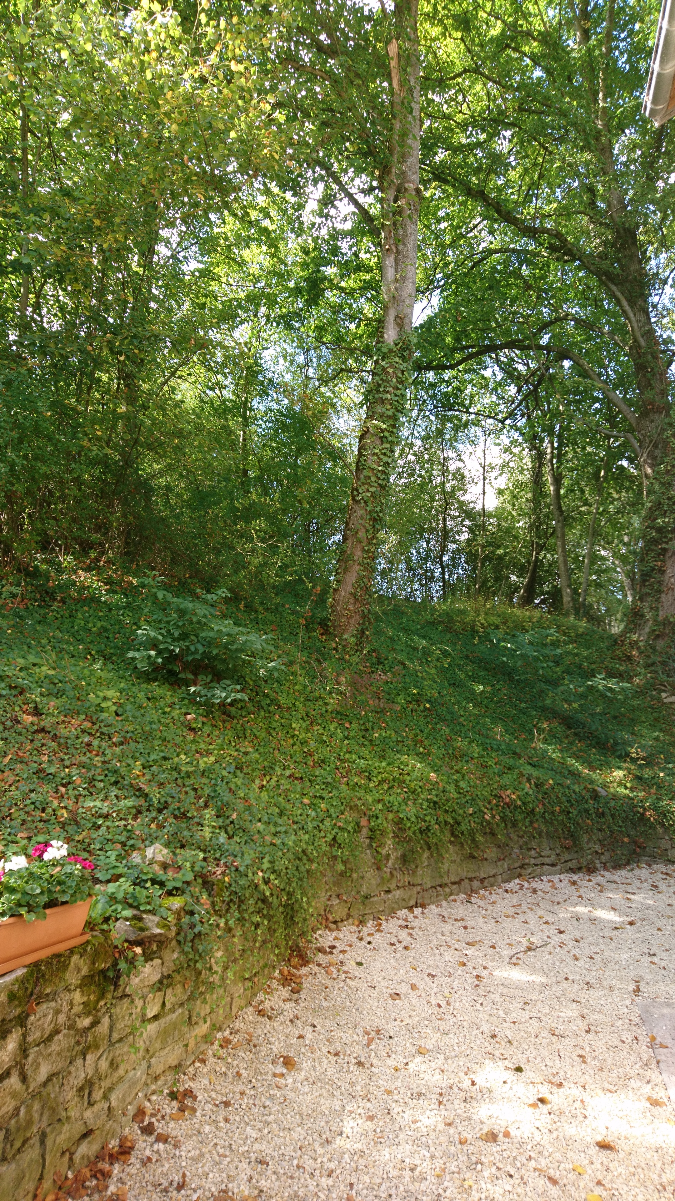Une nature mosellane généreuse