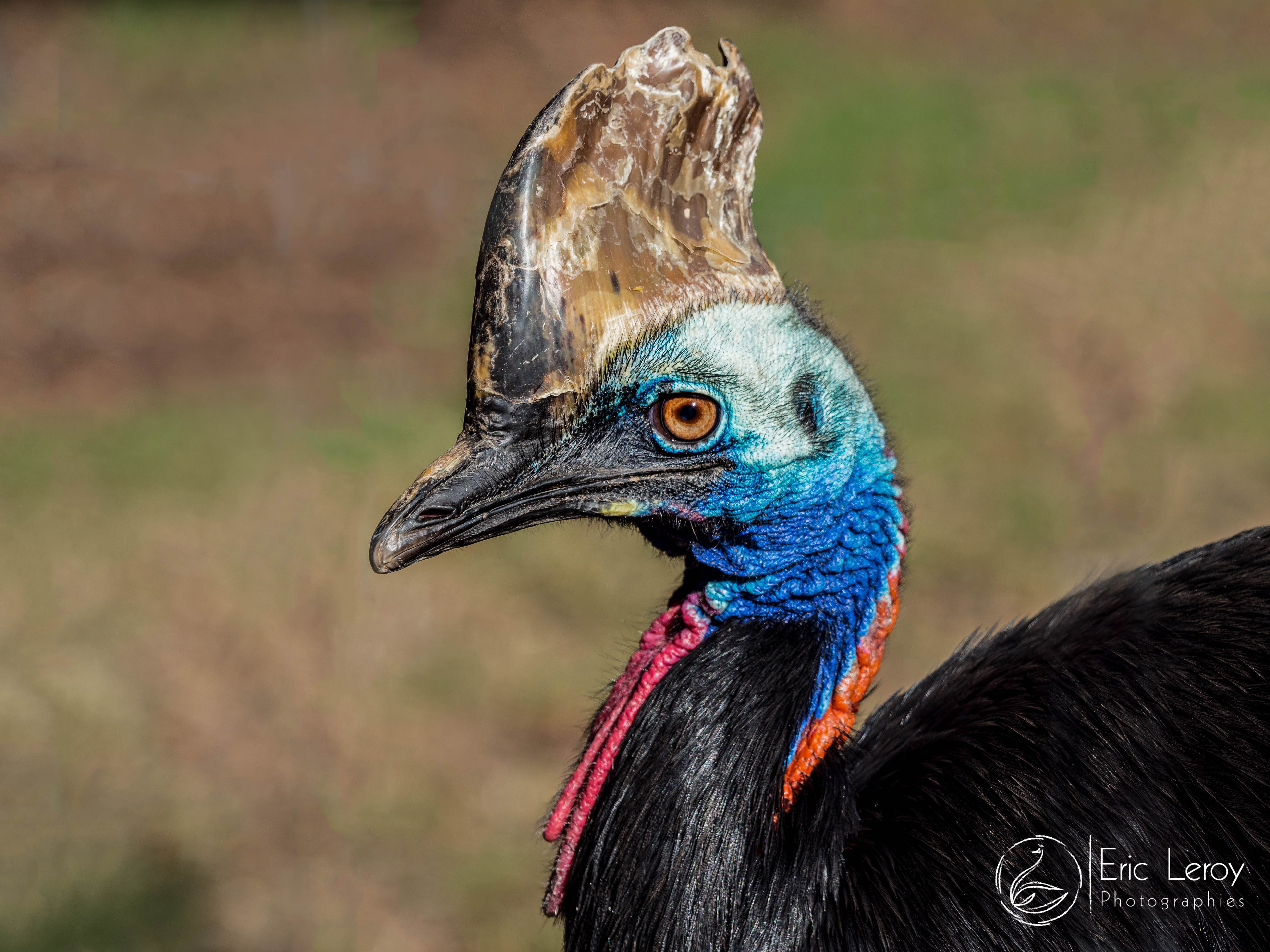 Eric leroy photographies