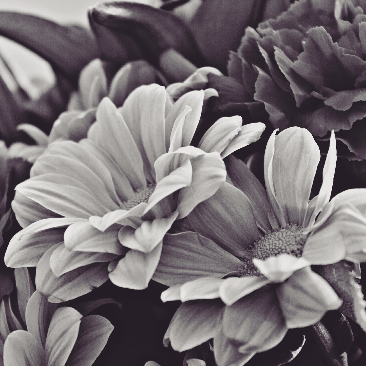 Img 20170806 183403 238