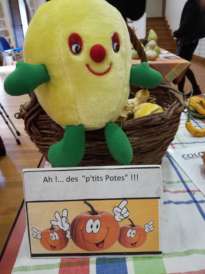 22089695 10210393529299052 7522094326368827785 n