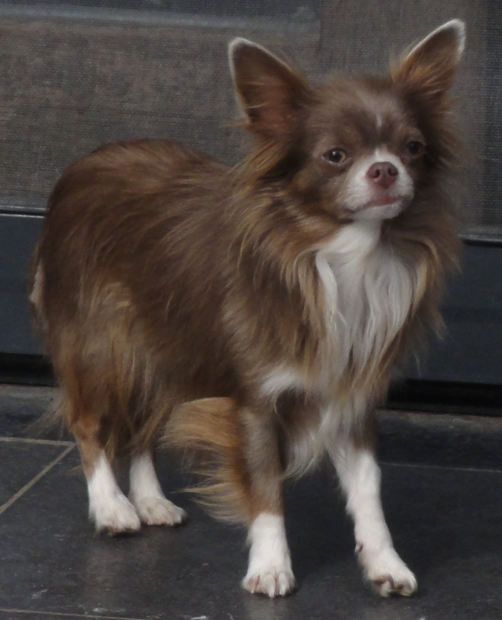 DSC06023