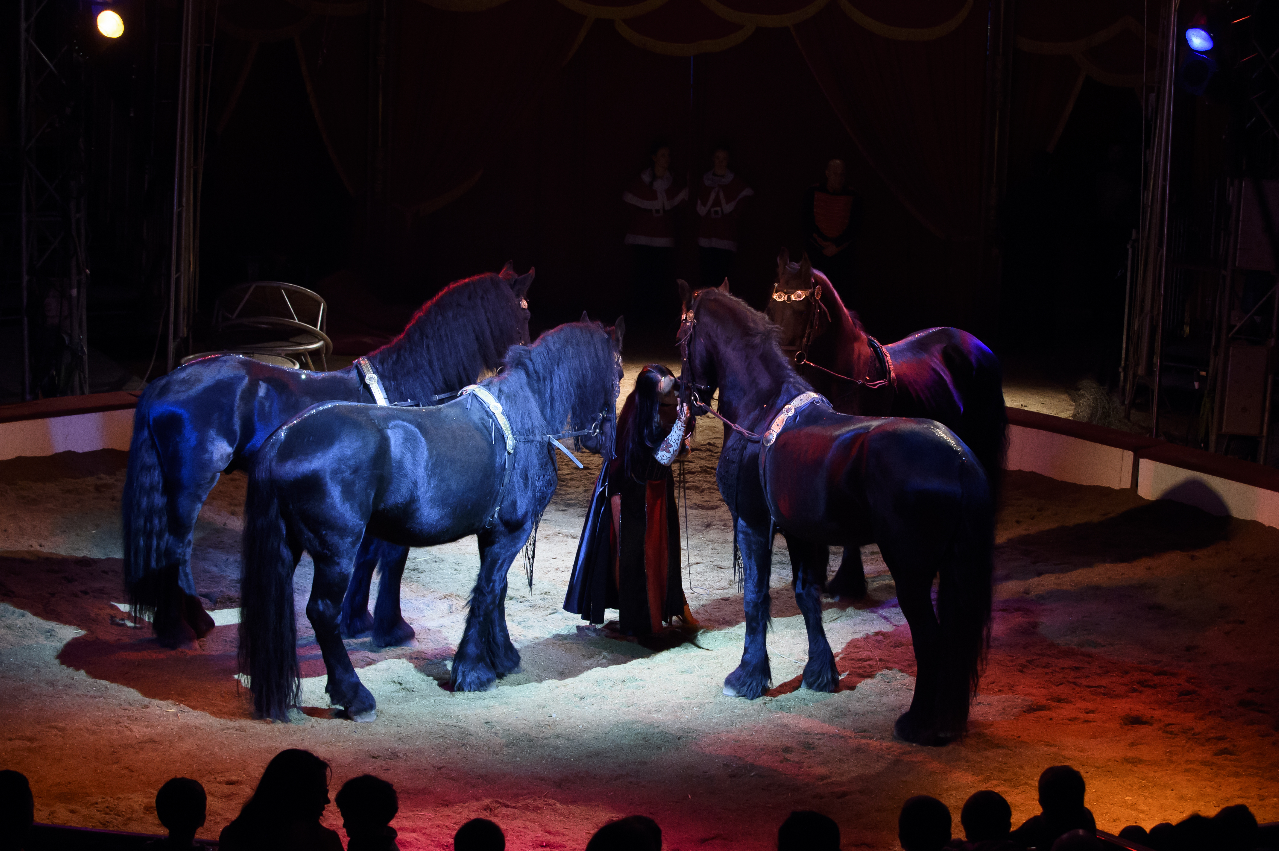 145 spectacle cirque micheletty 05 12 2015