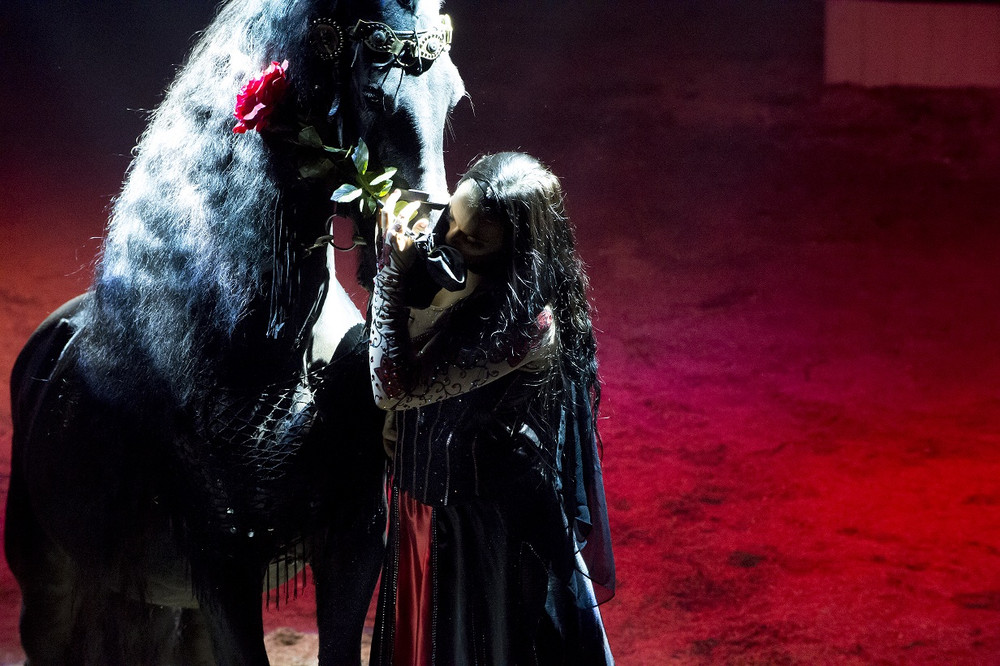 D69s4 103 spectacle cirque micheletty 05 12 2015