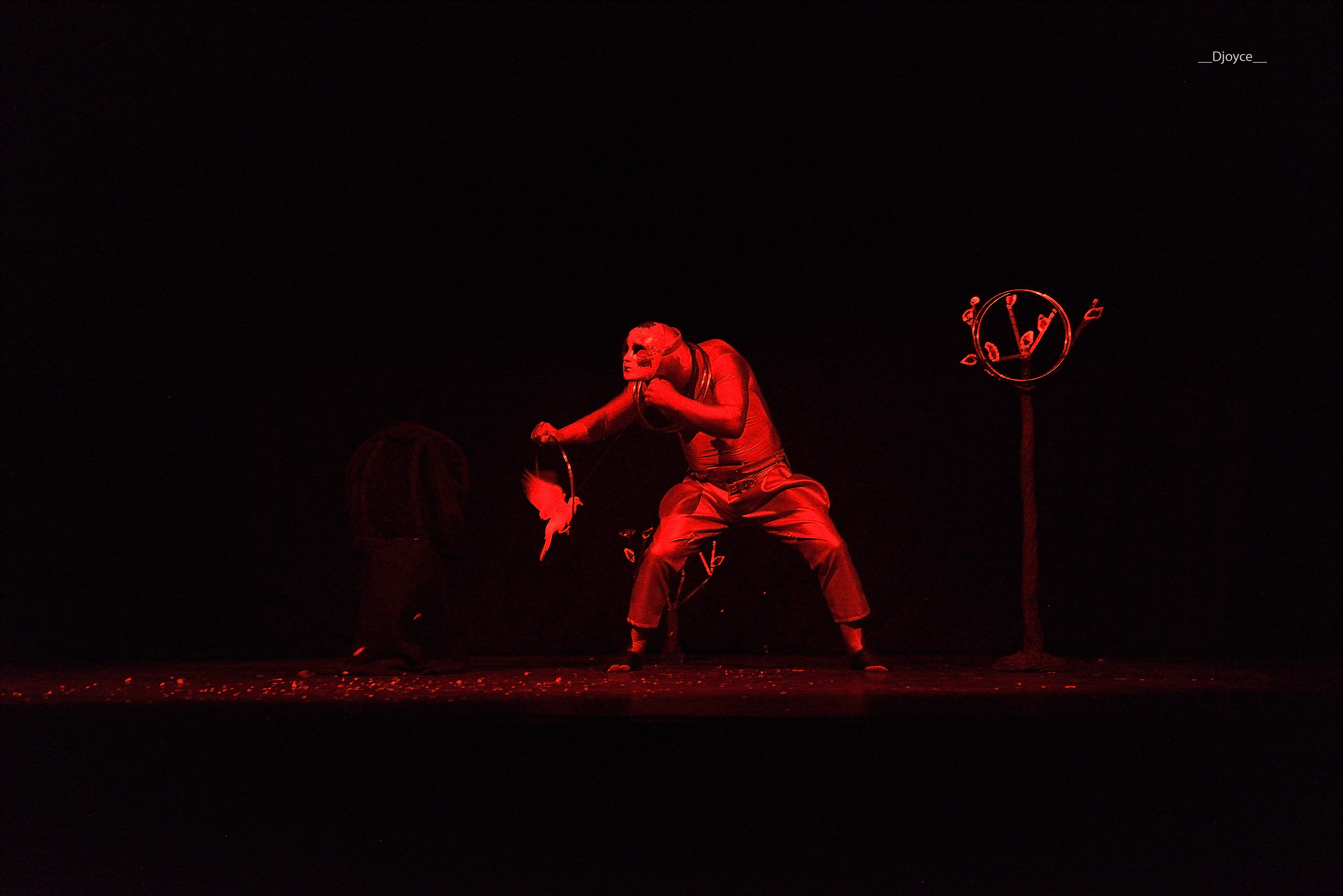 Magie apparition colombe