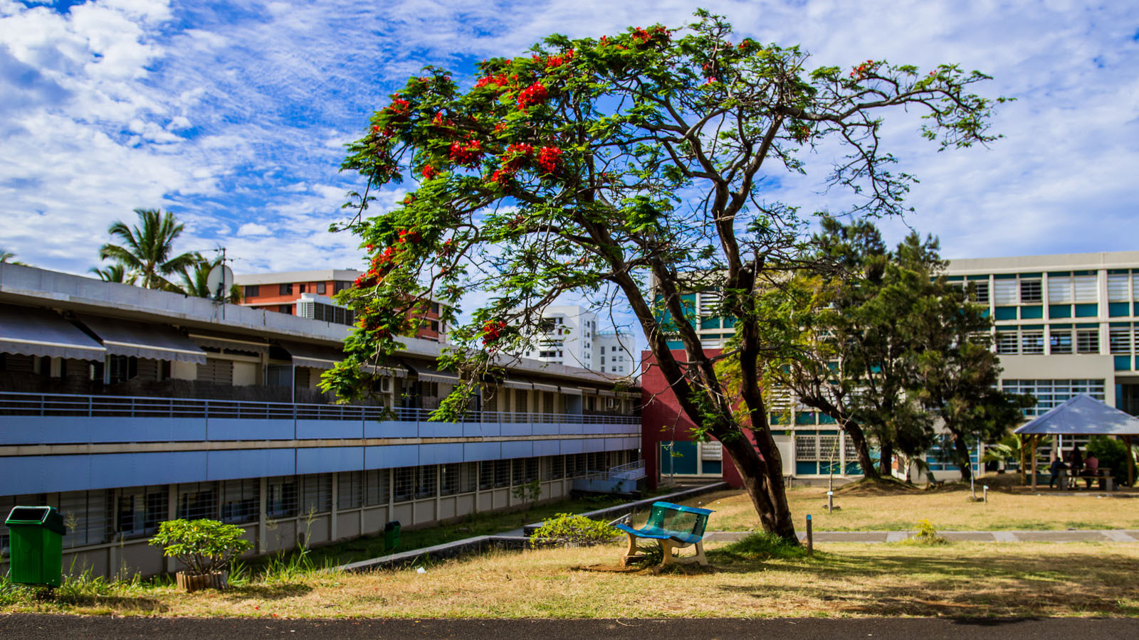 SlideshowImage p43 n19