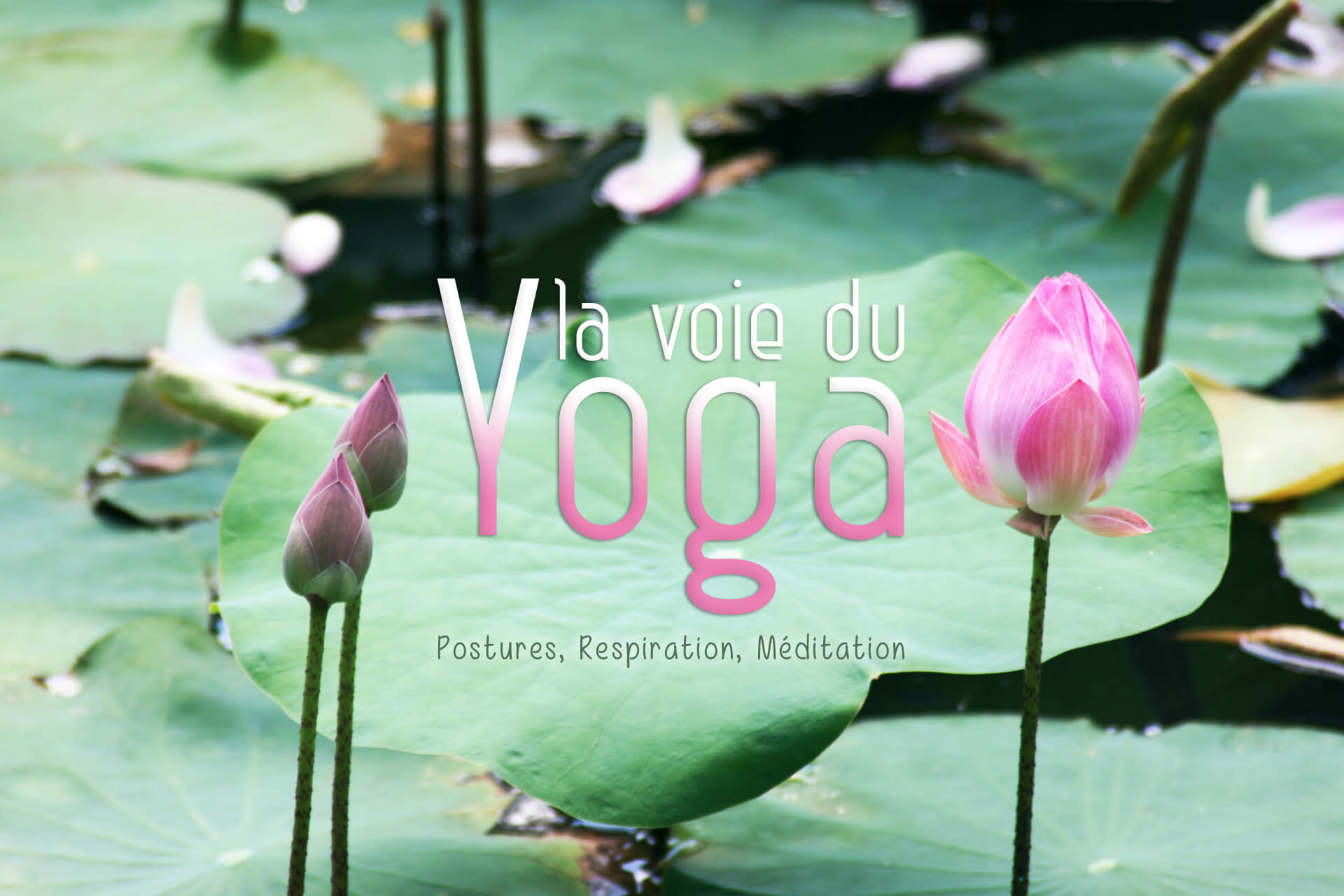 La voie du yoga