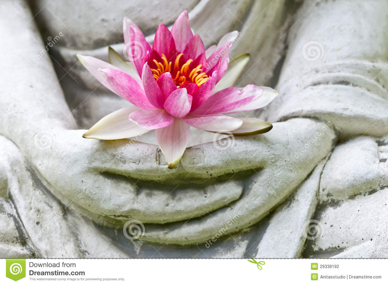 Buddha hands holding flower 29338192