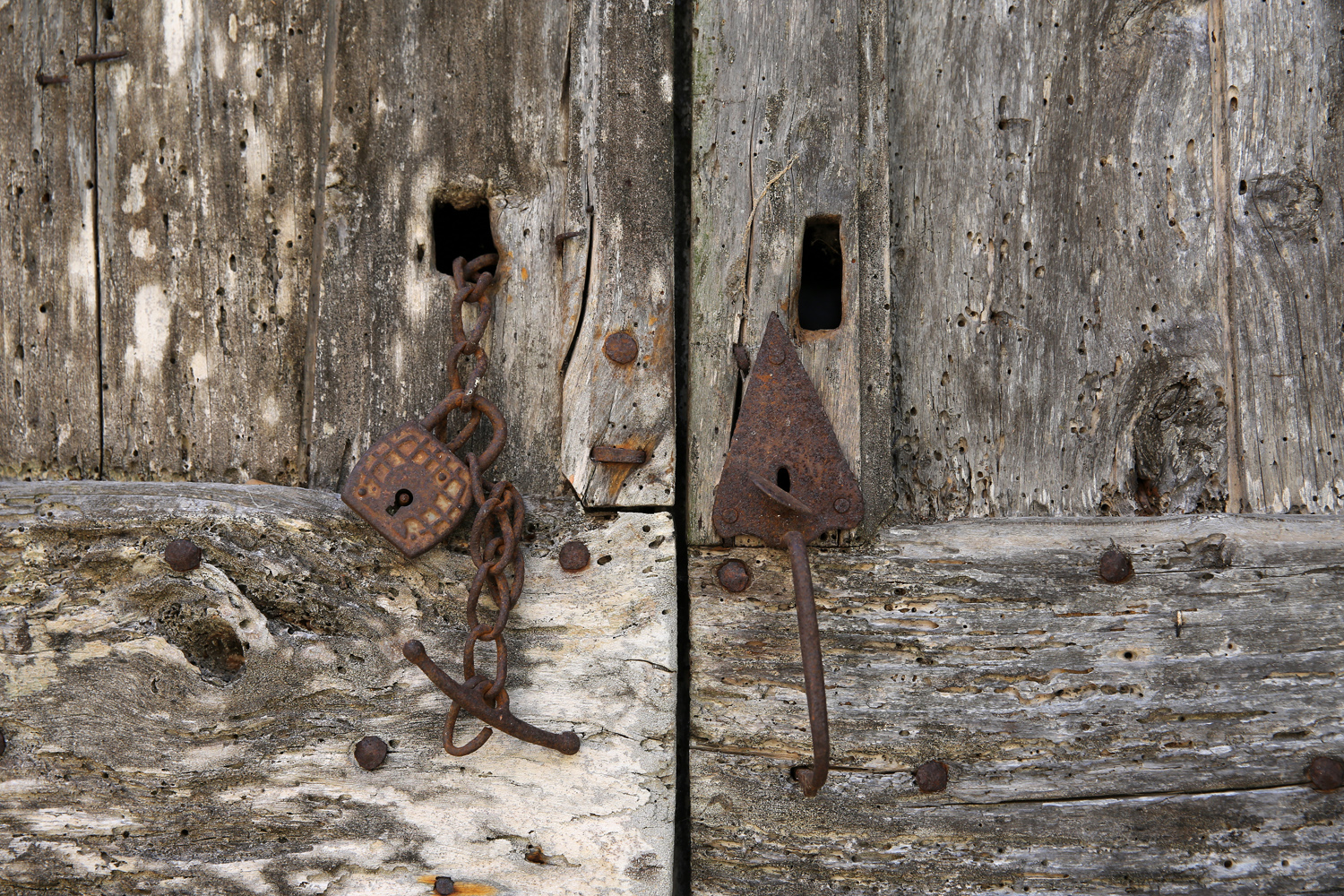 Jerome morel cevenne campagne 214