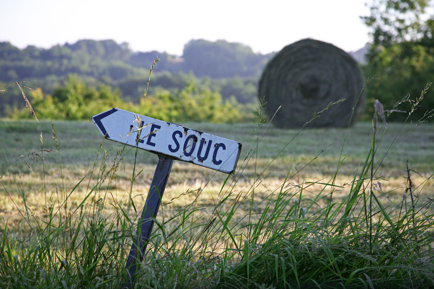 Jerome morel cevenne campagne 219