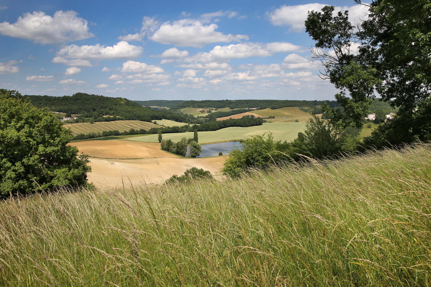 Jerome morel cevenne paysage patrimoine 257