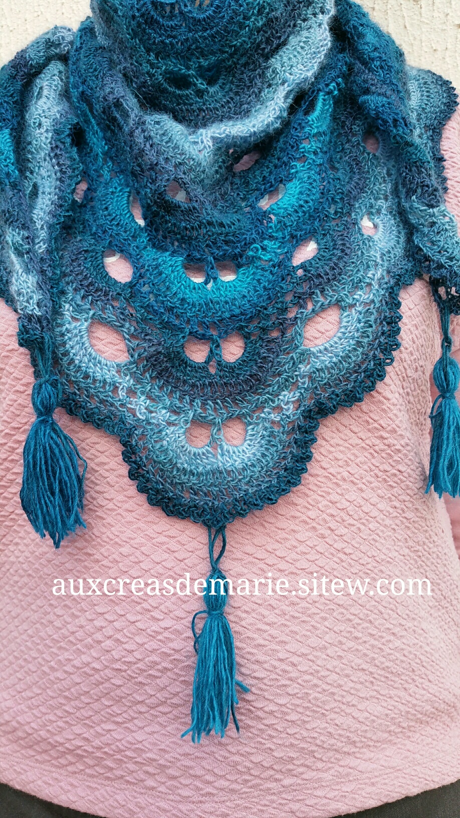 CHECHE BLEU 20 EUROS 