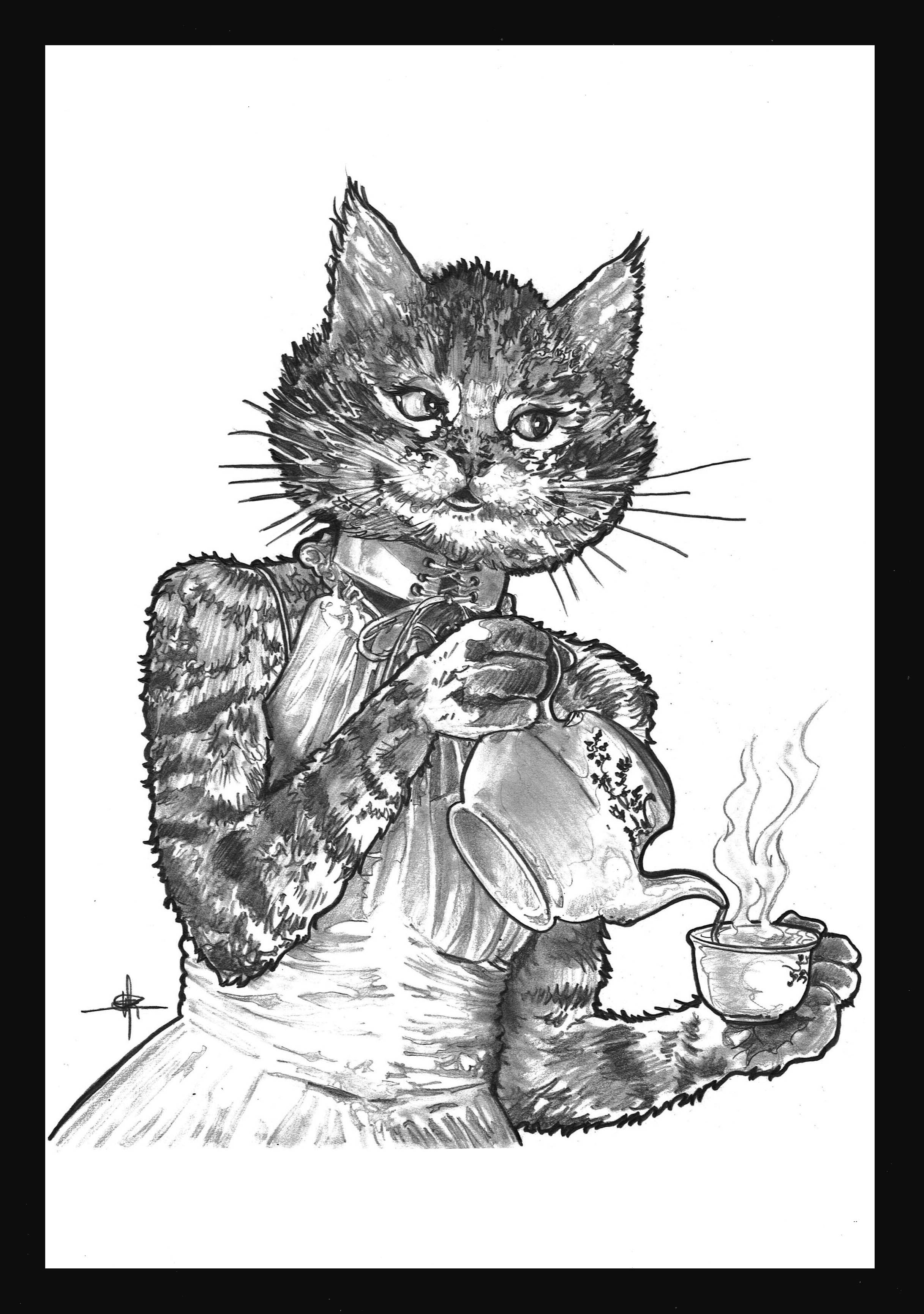 Chatte faible reso plus clair 00