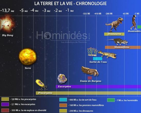 Chronologie de la vie sur Terre.