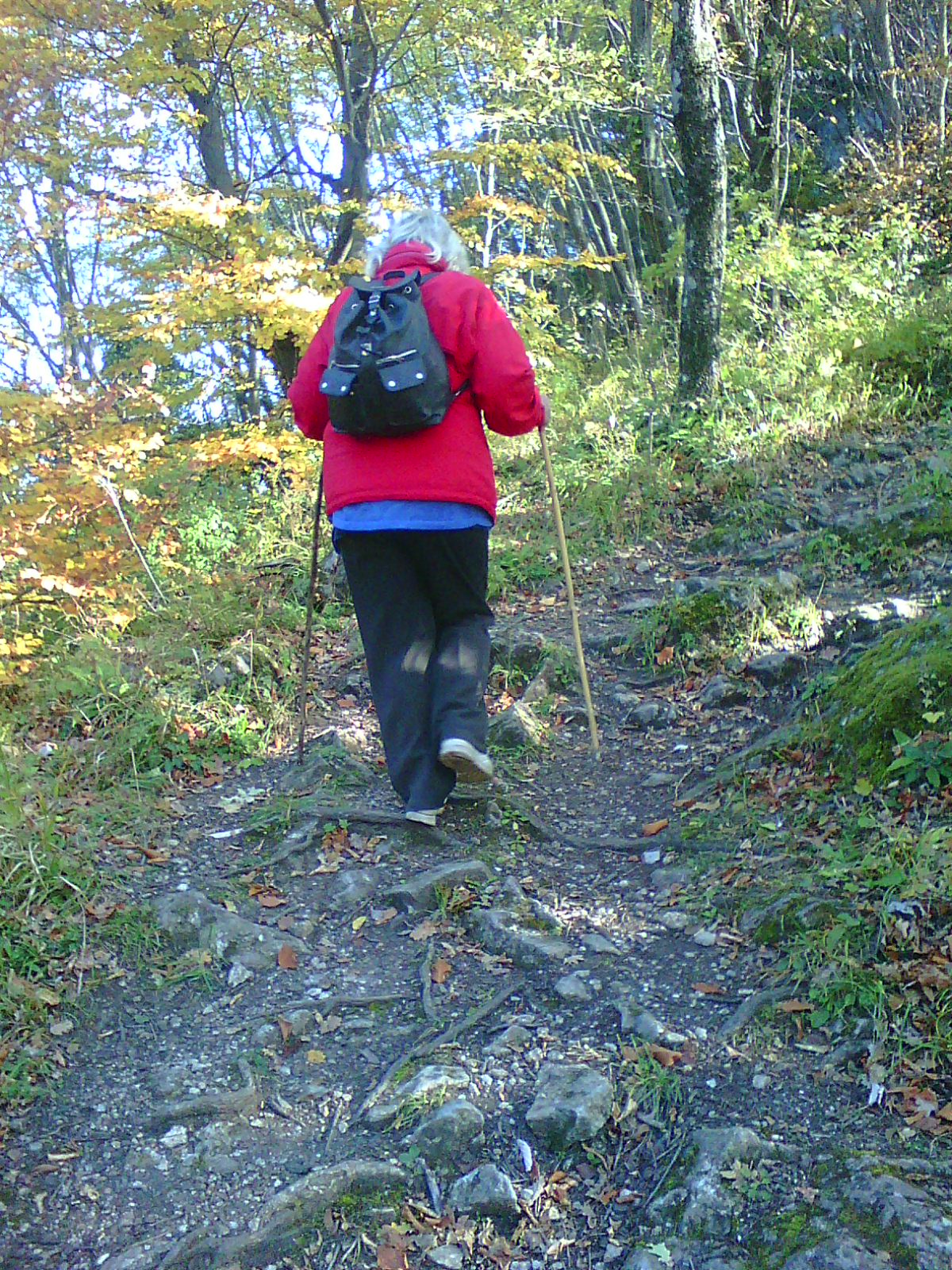 Photo0461
