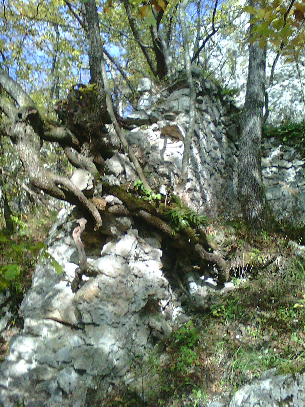 Photo0469