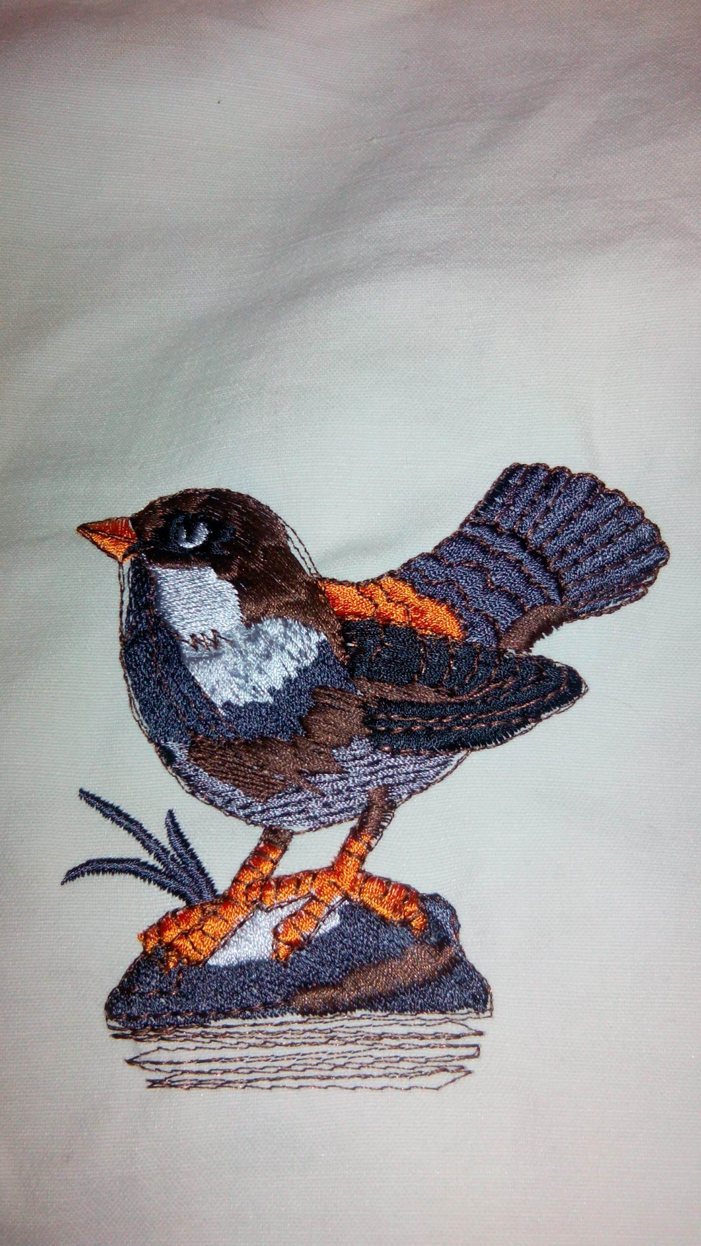 oiseau sur drap 