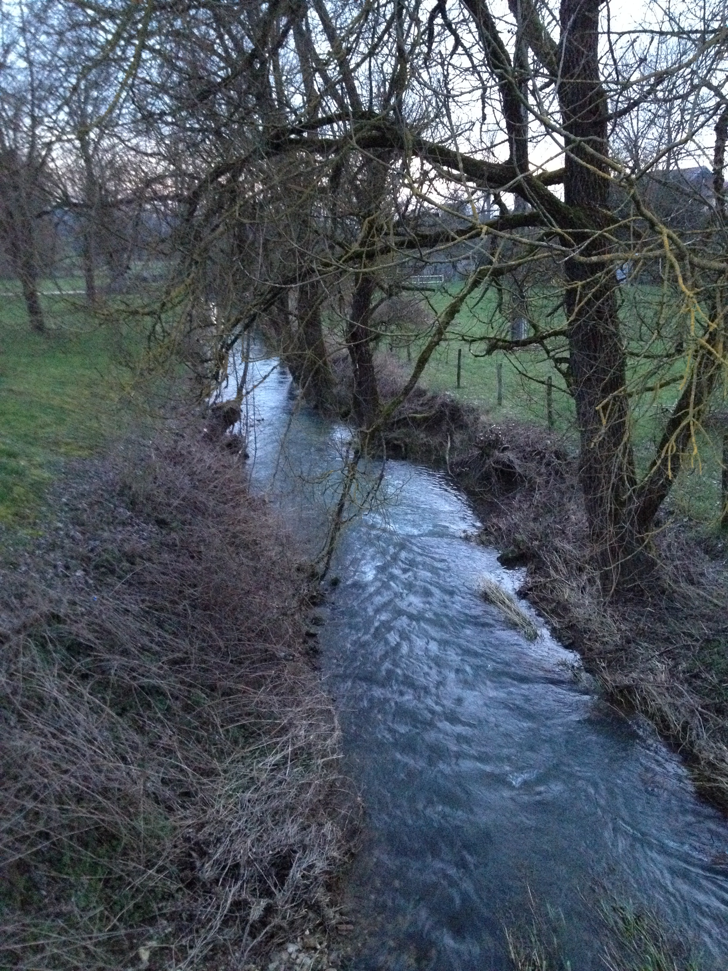La superbe
