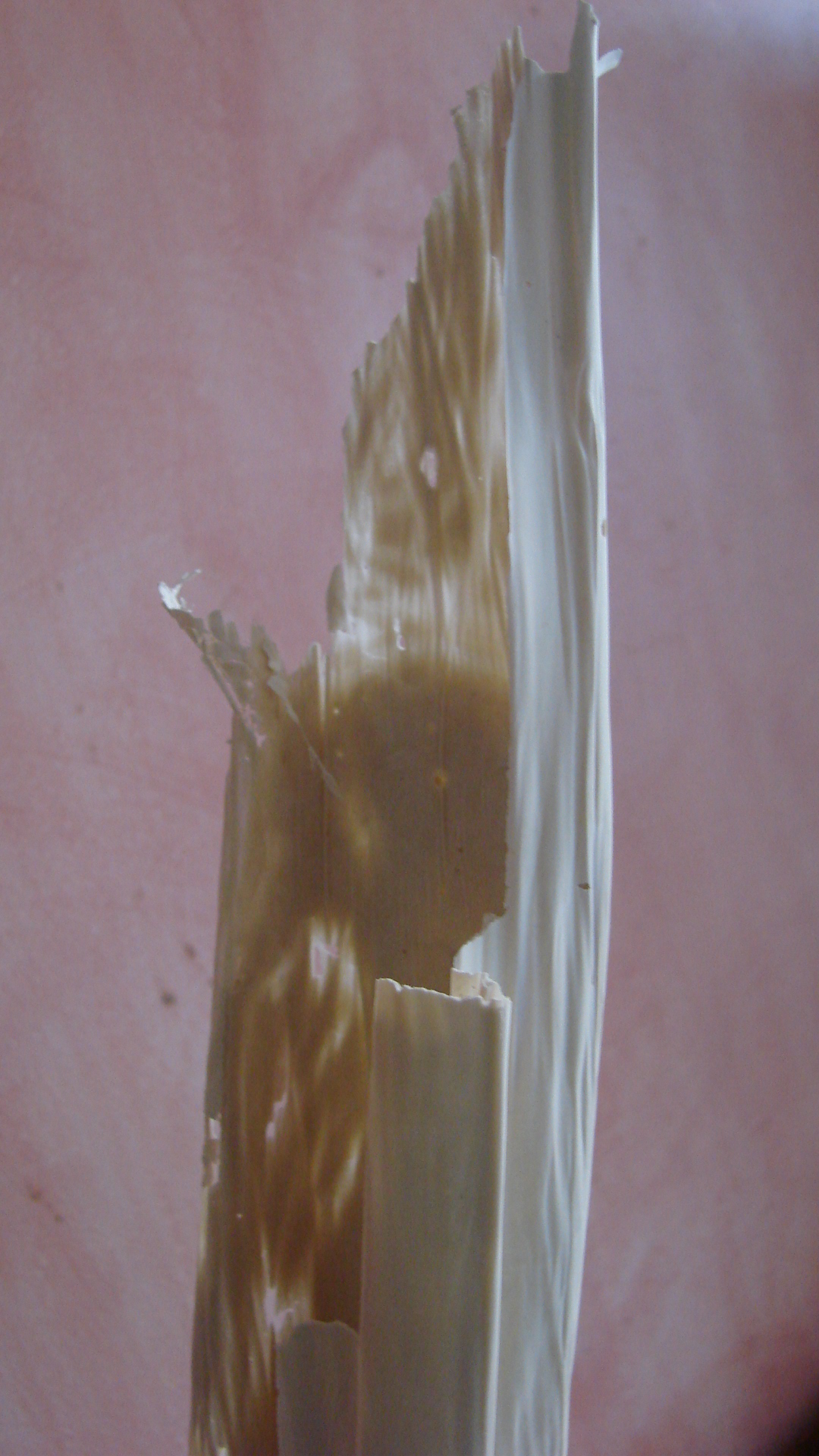 Dsc09123