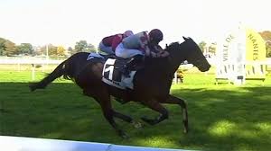 14 ième ÉTAPE DU DÉFI DU GALOP GRAND PRIX DE NANTES POUR SMART WHIP