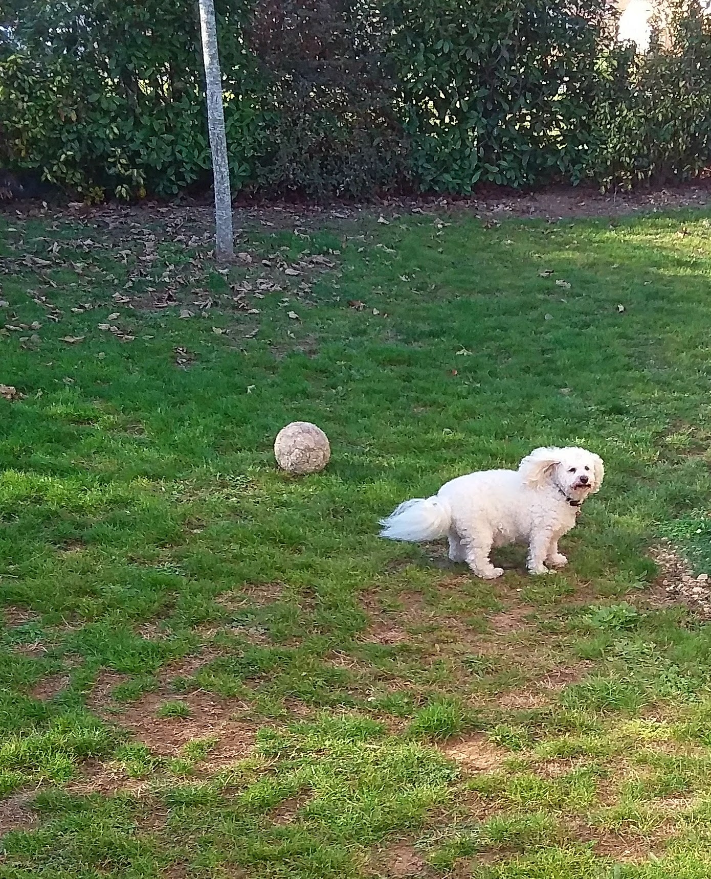 20171123 133754