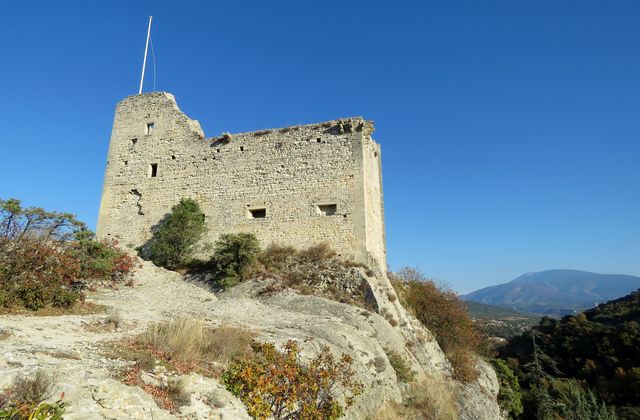 84vaison 8 