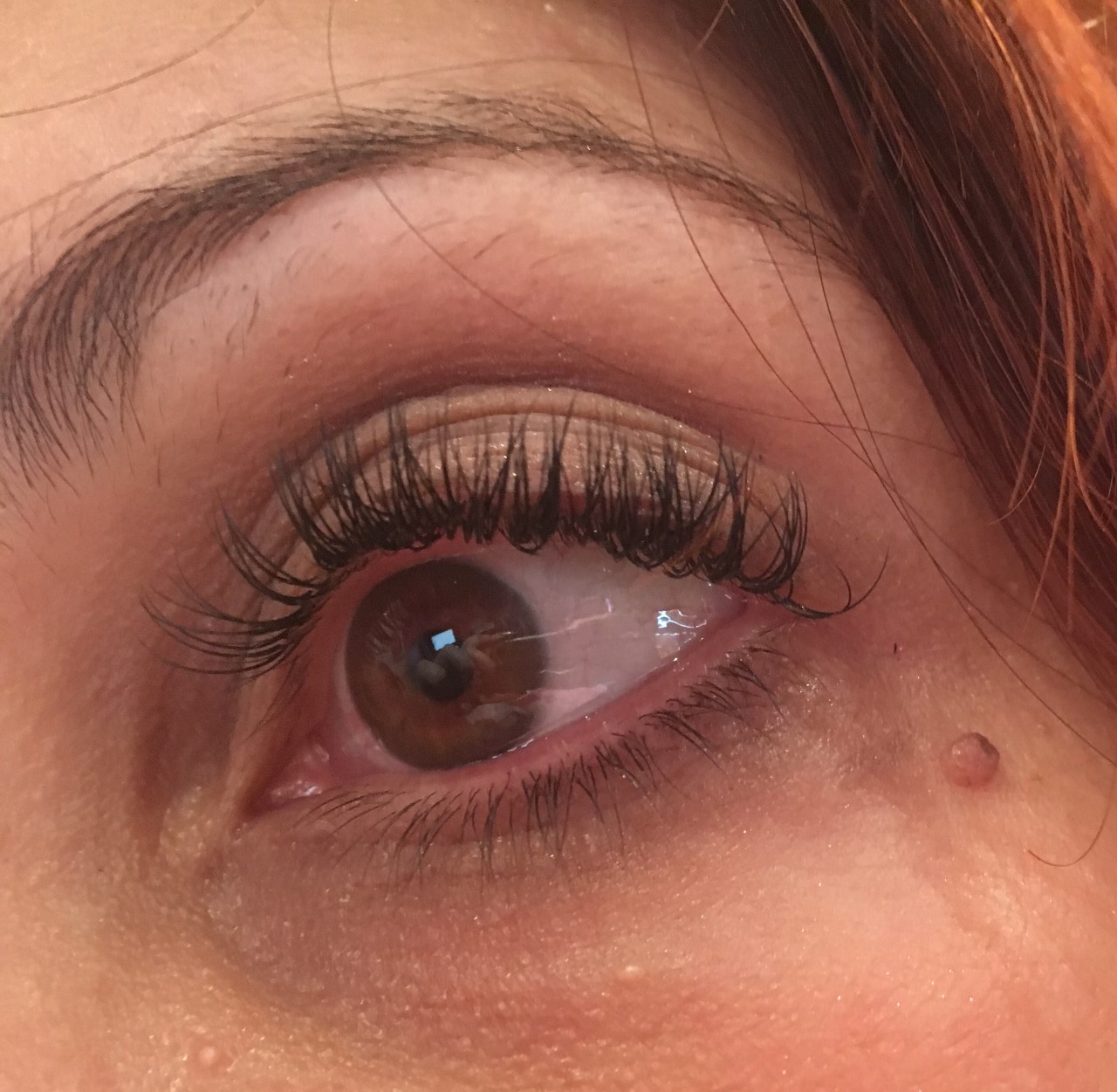 Cils2