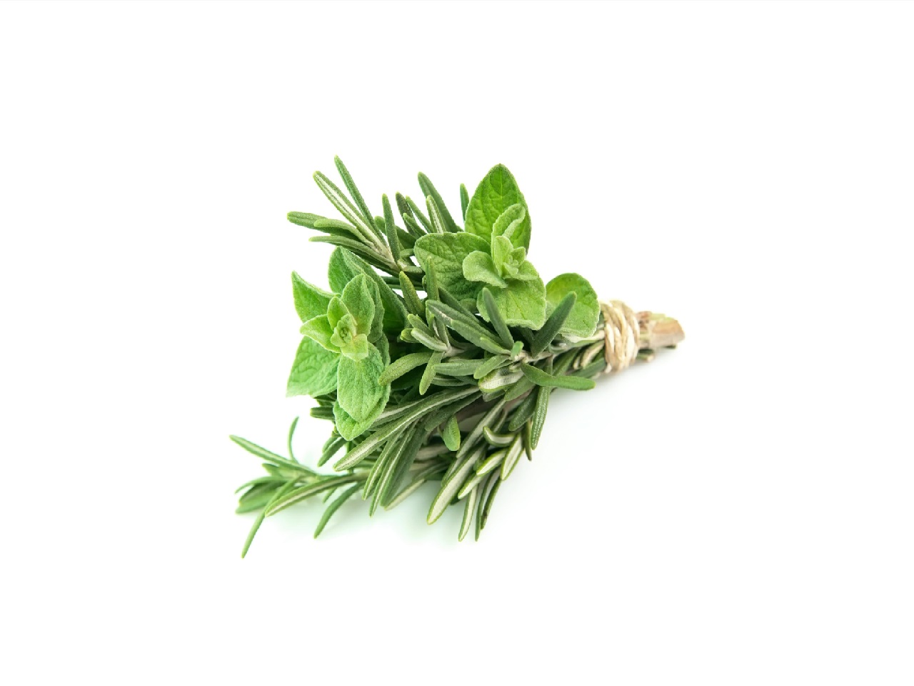 Herbes