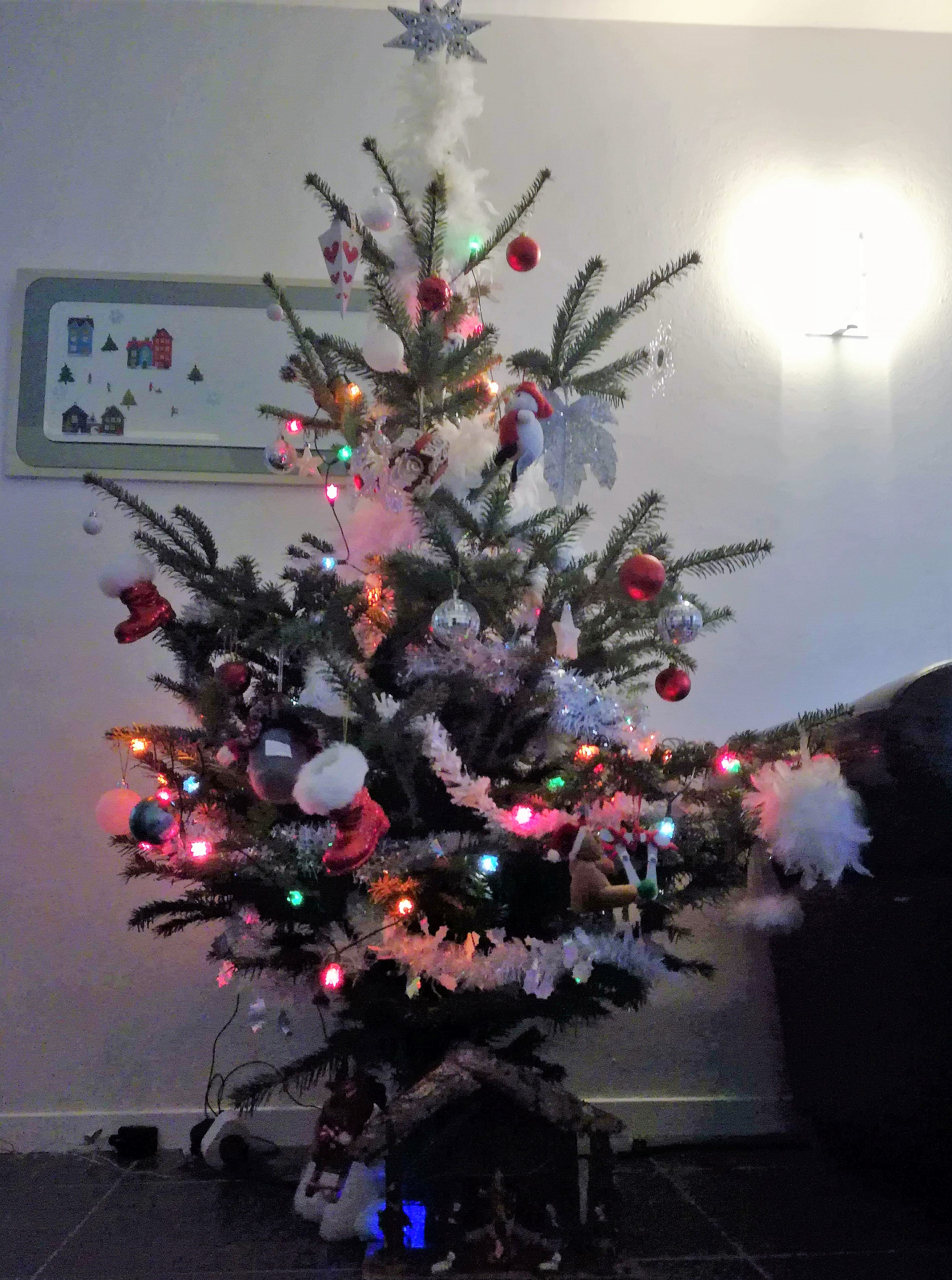 Sapin