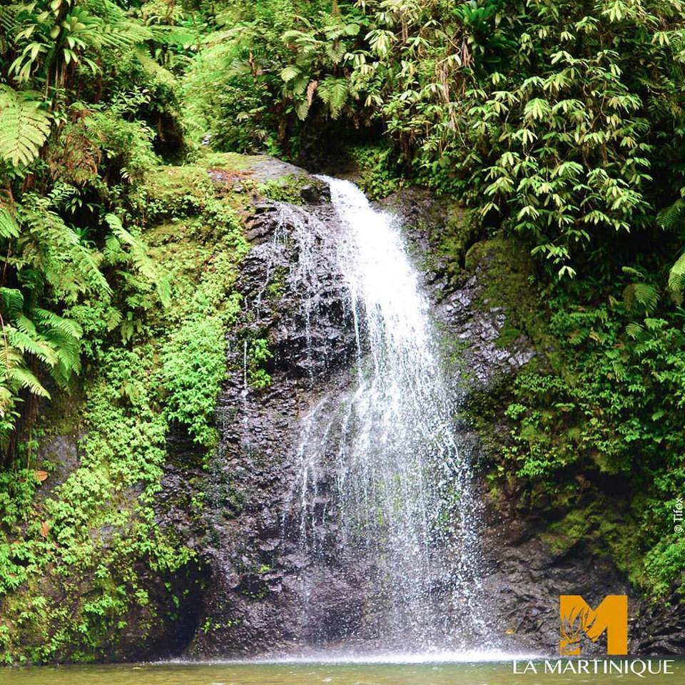 Cascade martinique