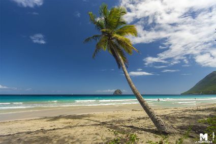 Diamant martinique taxi