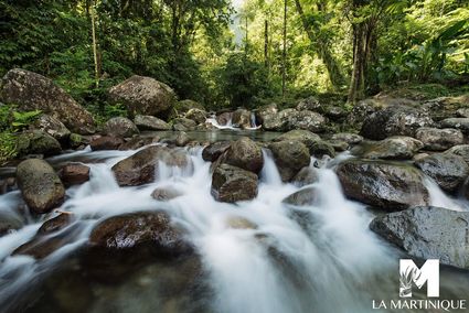 Rivierre alma