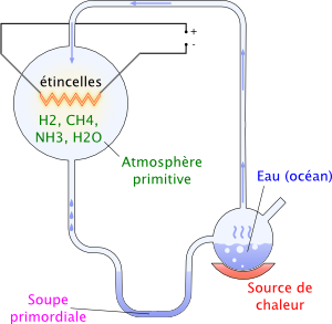 Expérience de Miller.