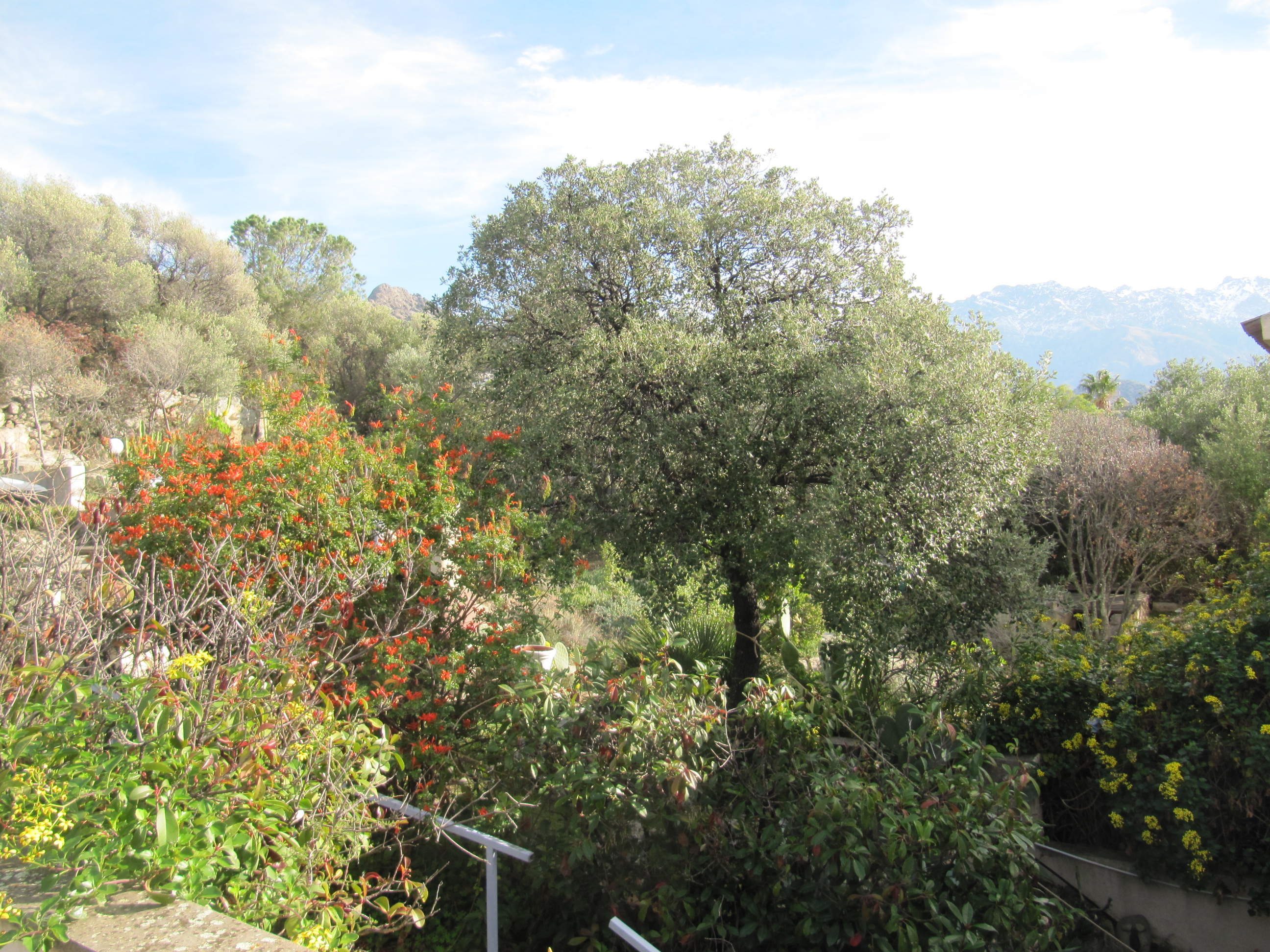 Vue sur les montagnes depuis l'entrée de l'appartement