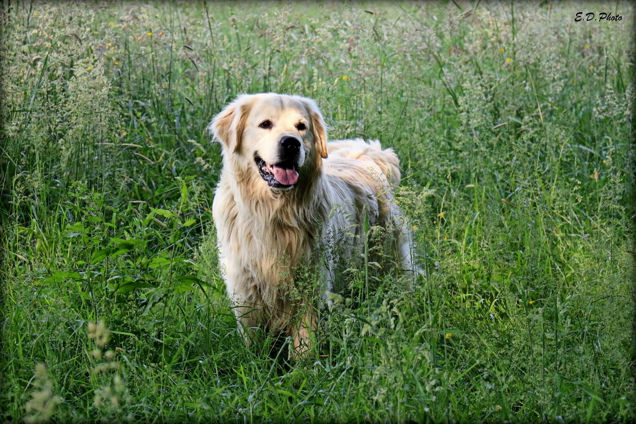 13418540 1092419610817910 2686022872330548796 o 1 