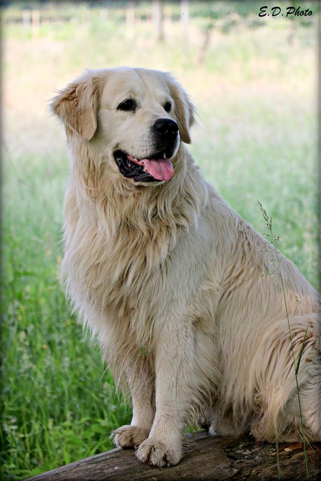 13450970 1092419894151215 4900628581009092530 n 1 