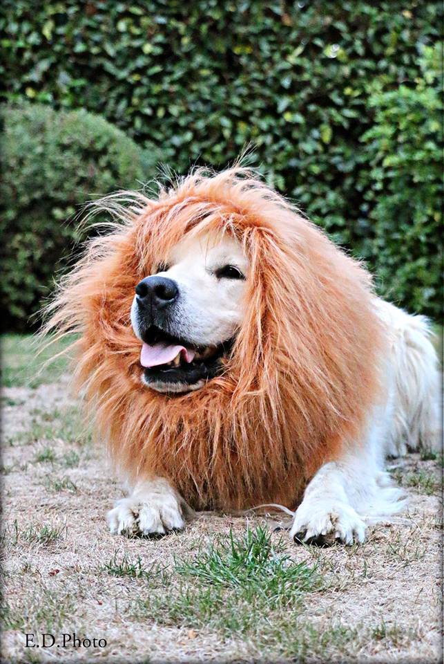 20046812 1494787353914465 2305142403505326596 n 1 