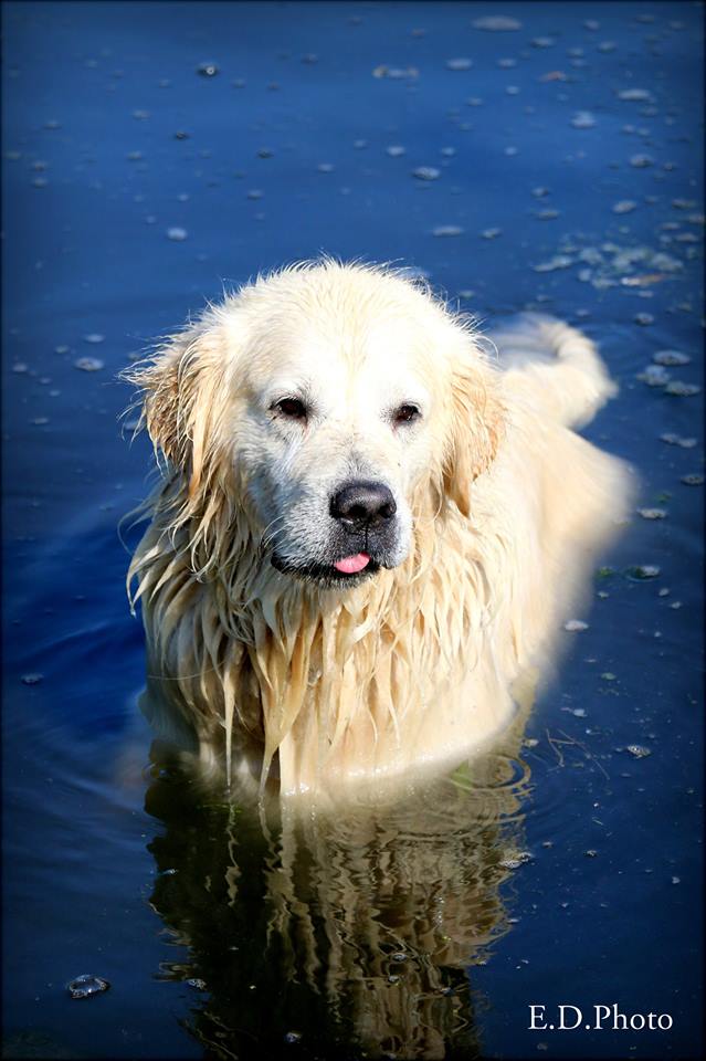 21687918 1540751355984731 6096962235877056859 n 1 