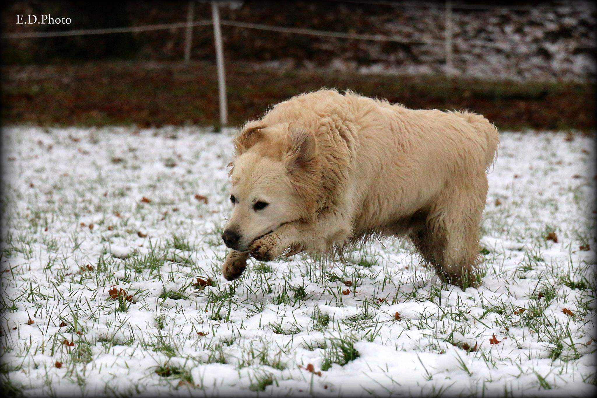 24784927 1608113085915224 7968169972264381806 o 1 