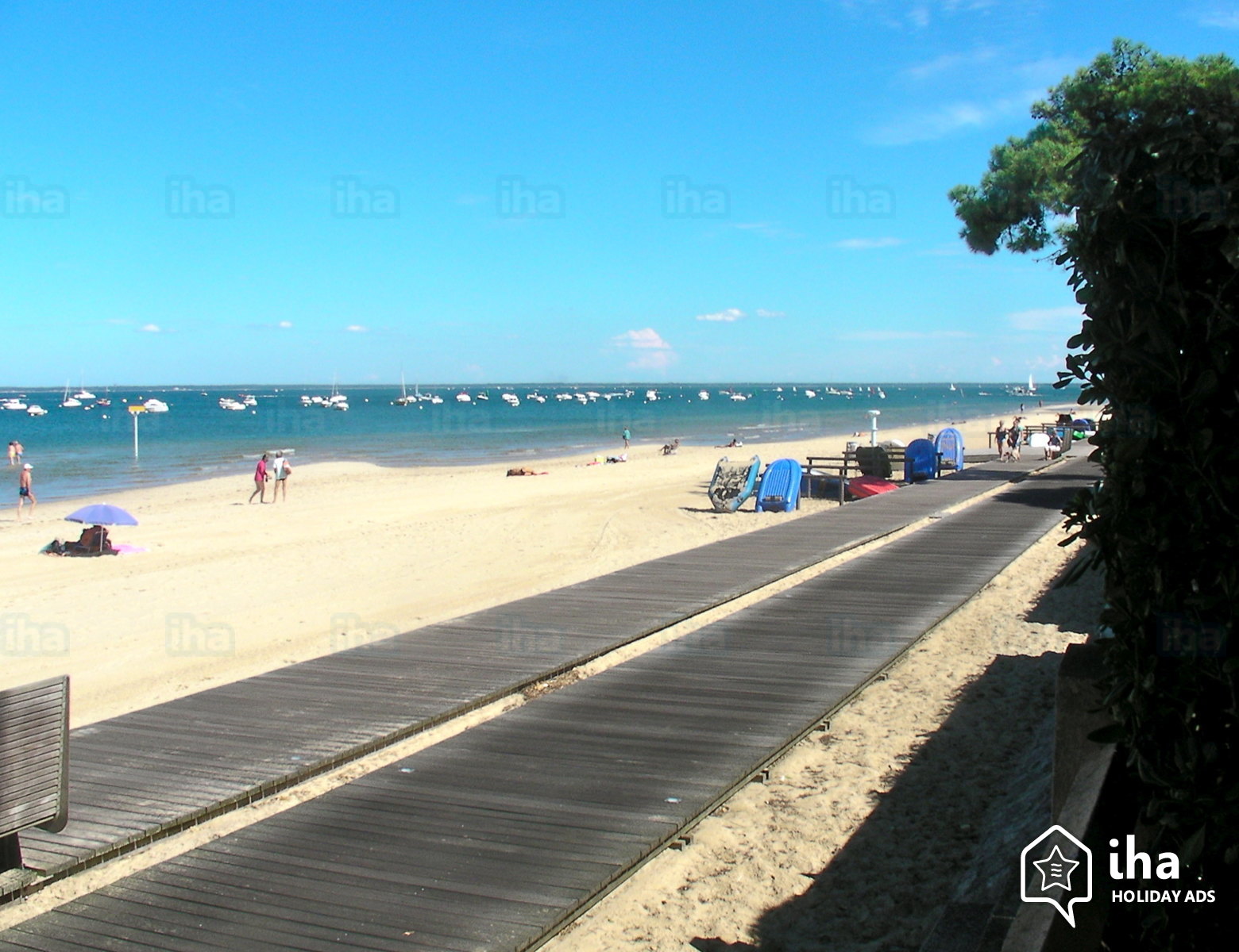 Arcachon promenade sur la plage eugenie