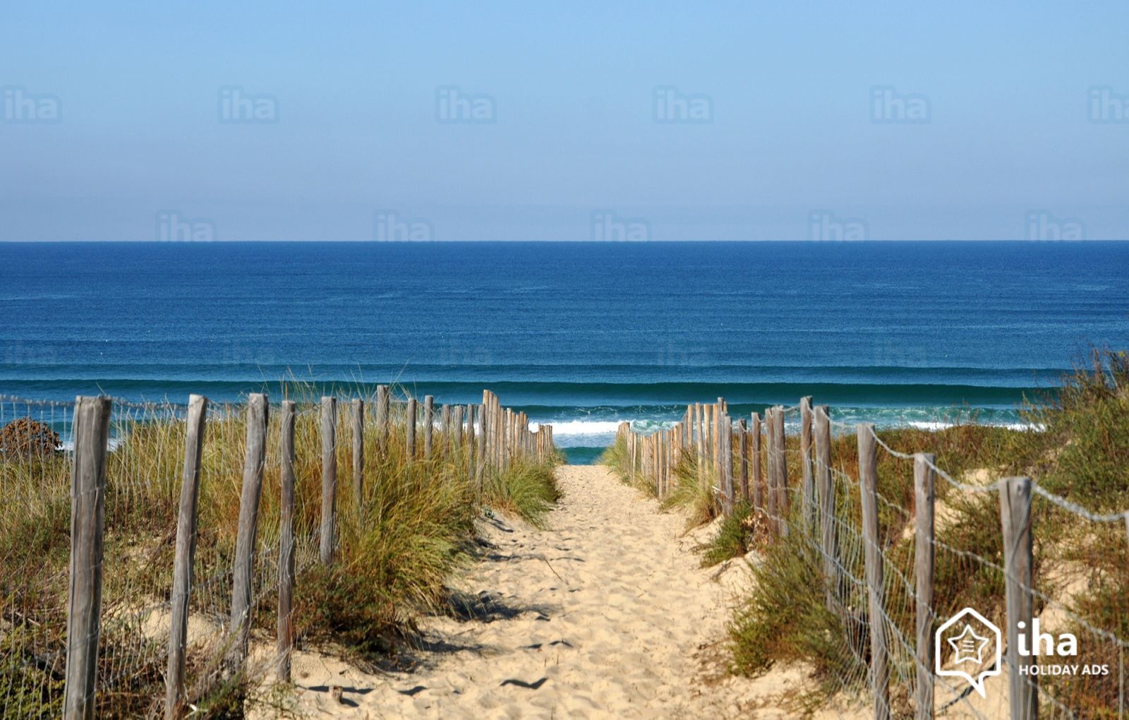 Cap ferret cap ferret