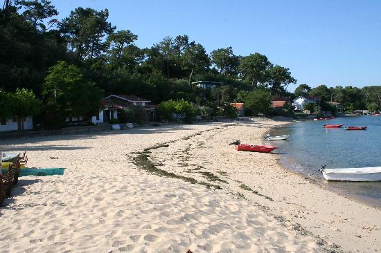 Cap ferret