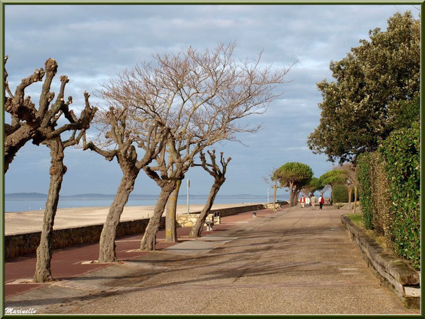 La promenade en front de mer de la plage pereire a arcachon bassin d arcachon 33