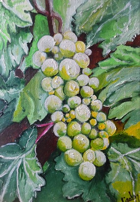 19X27 70 2 